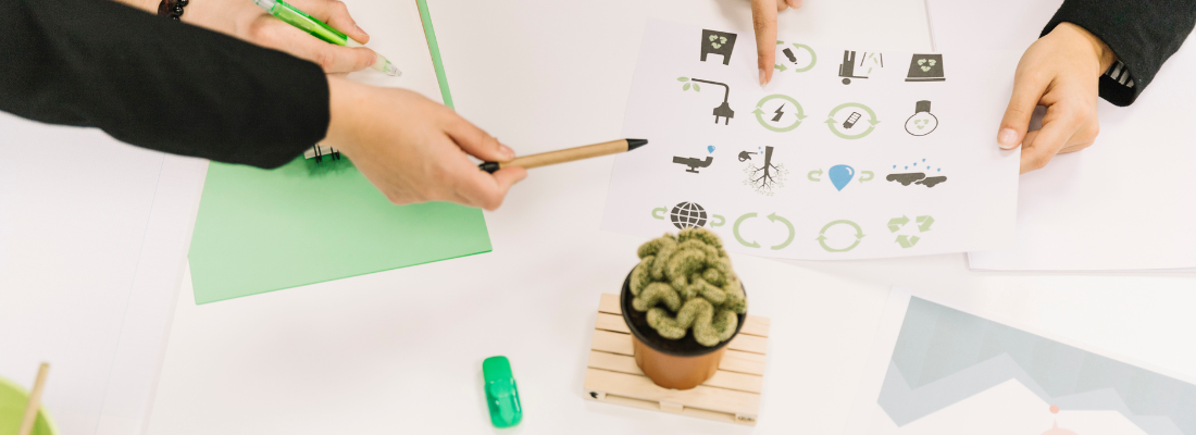 Desafios da Sustentabilidade no Brasil