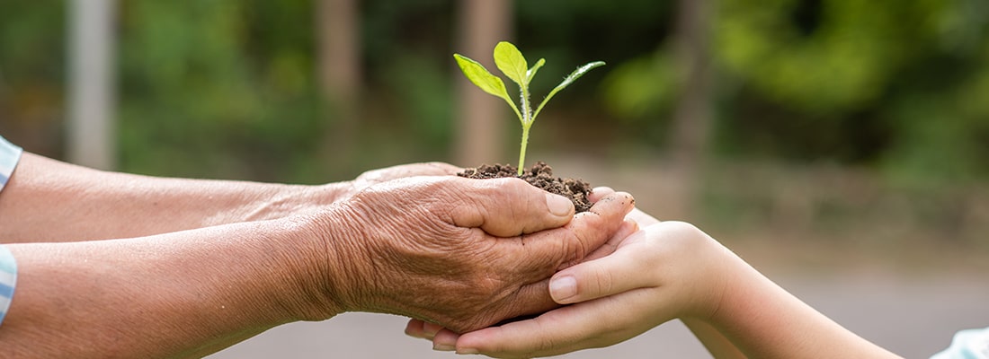 Pegada ecológica e meio ambiente: como se relacionam?