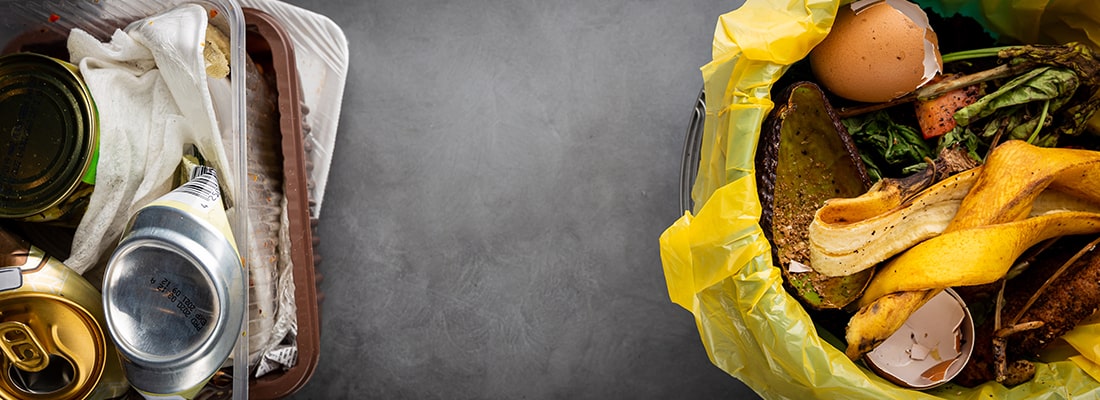 Exemplos de descarte incorreto de resíduos