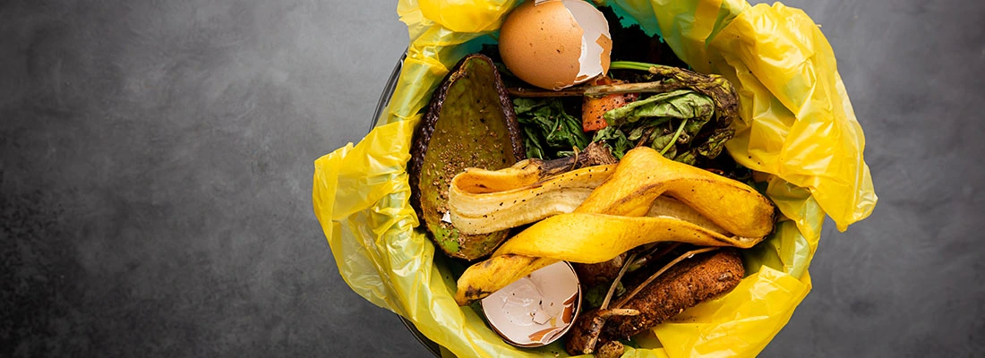 Dicas para gestão de resíduos orgânicos Dicas para gestão de resíduos orgânicos