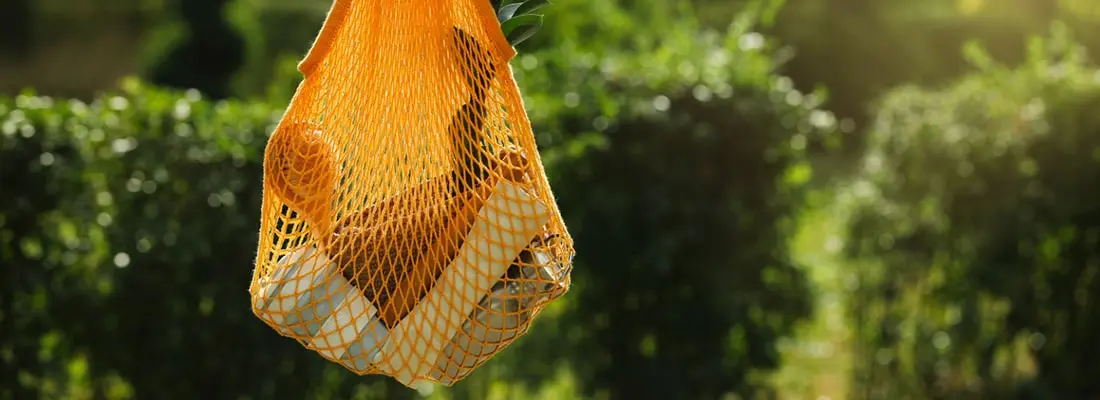 Como tornar o consumo mais consciente