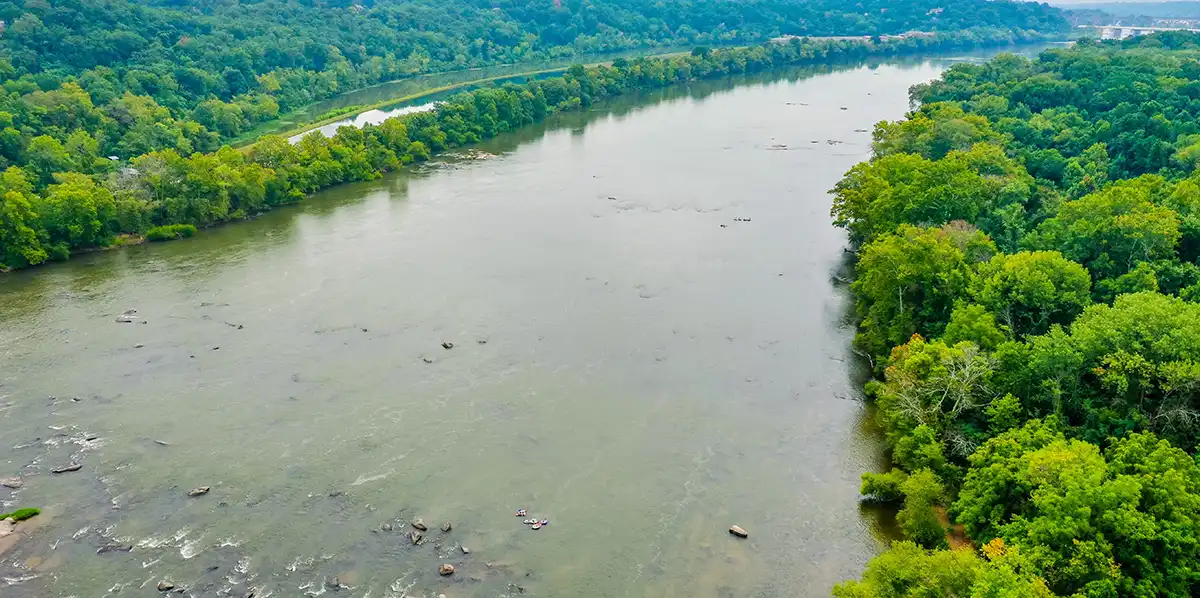 Você conhece o Dia do Rio?