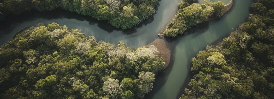 O que são zonas úmidas
