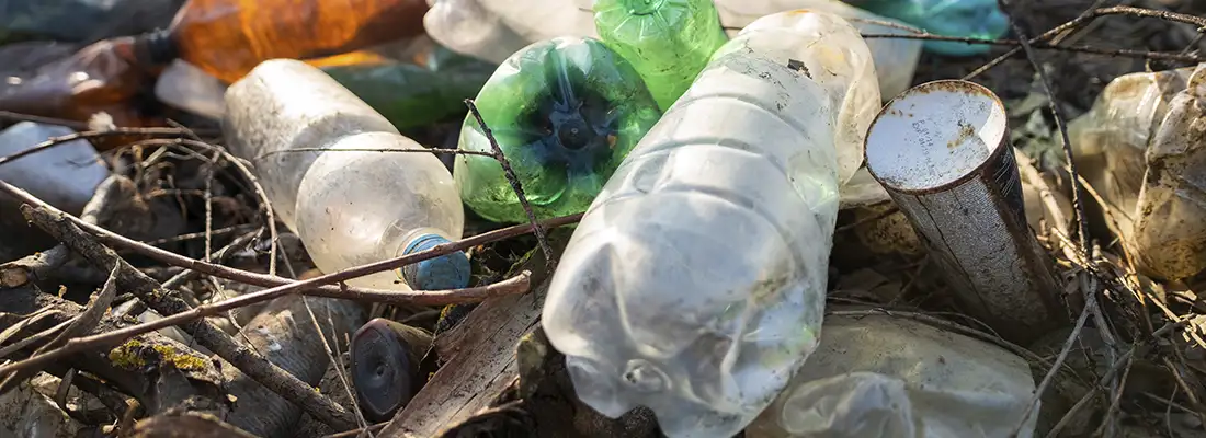 Por que a decomposição é essencial para o meio ambiente?