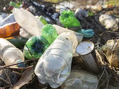 Por que a decomposição é essencial para o meio ambiente?