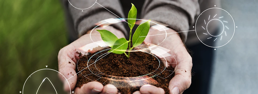 Qual a importância da consultoria ambiental para empresas?