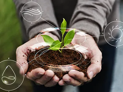 Qual a importância da consultoria ambiental para empresas?